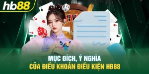 Thông tin tổng quan về điều khoản sử dụng nhà cái HB88